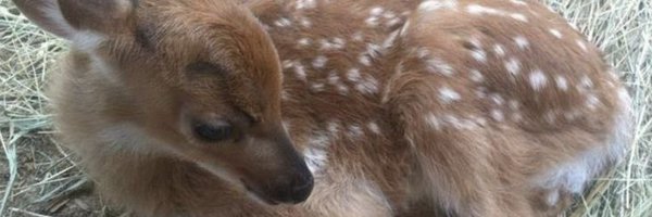 🇸🇴🇦🇺صدام's banner
