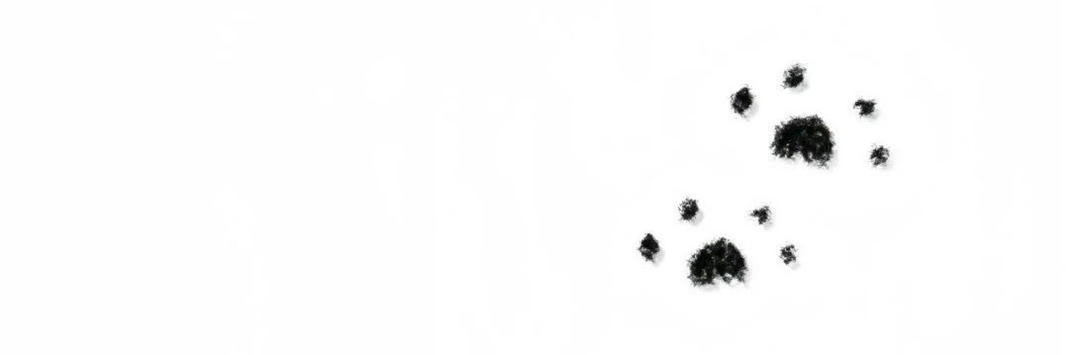 吧唧唧一口Y's banner