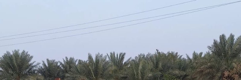 أرينوتْ's banner