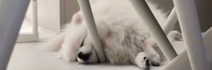 Moo..'s banner