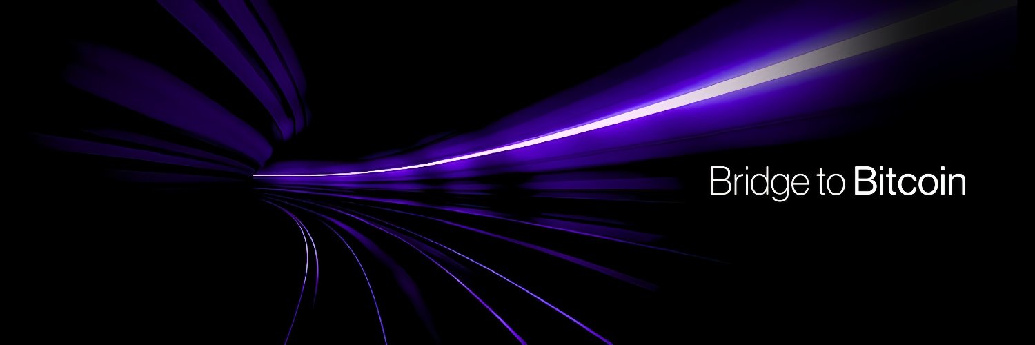 Permute (Formerly BitcoinBridge)'s banner