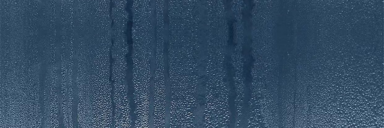 泡泡's banner