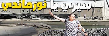 Tarik Salama's banner