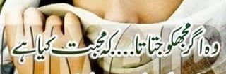 Dr Amna Noor✨'s banner