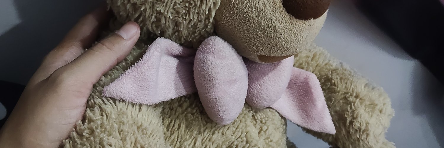 Tookki 🥸🐷's banner