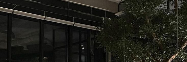 Jane Acha's banner