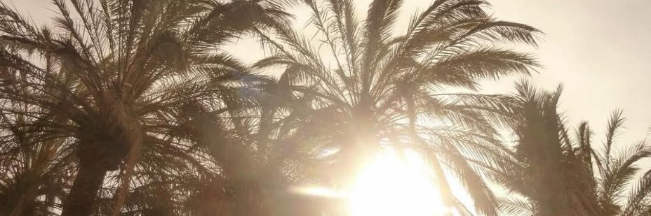 dylan's banner