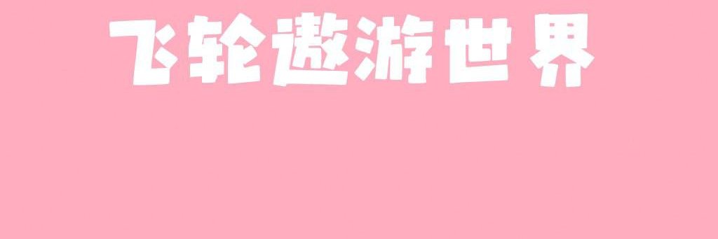 飞轮VPN's banner