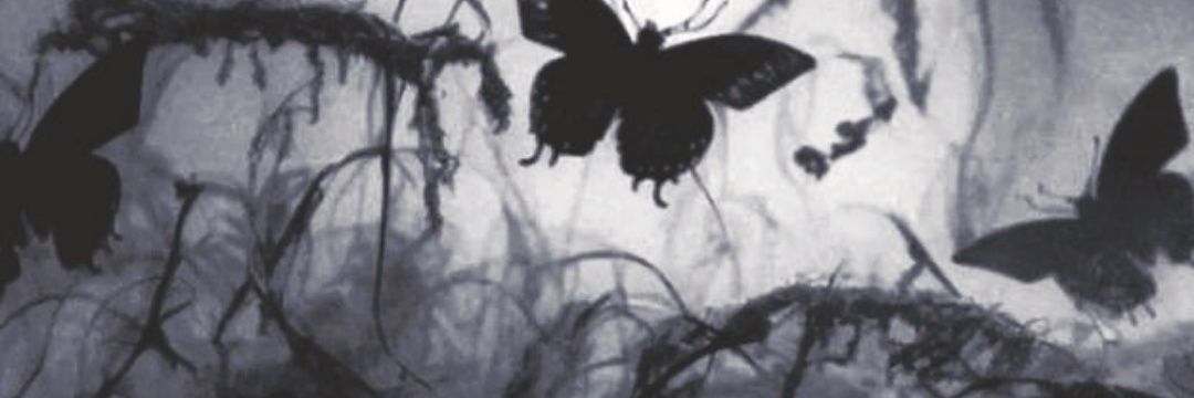 eves 🦢's banner