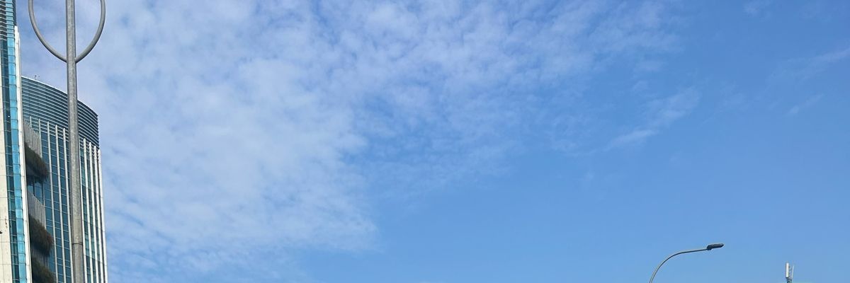 ann's banner