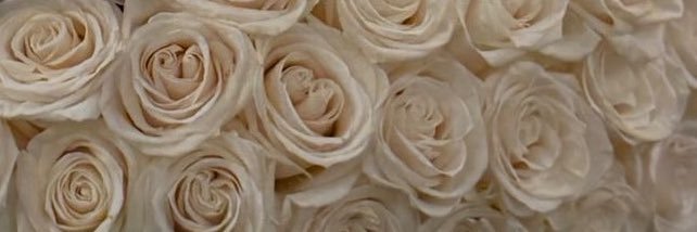 Kenia Os Updates's banner