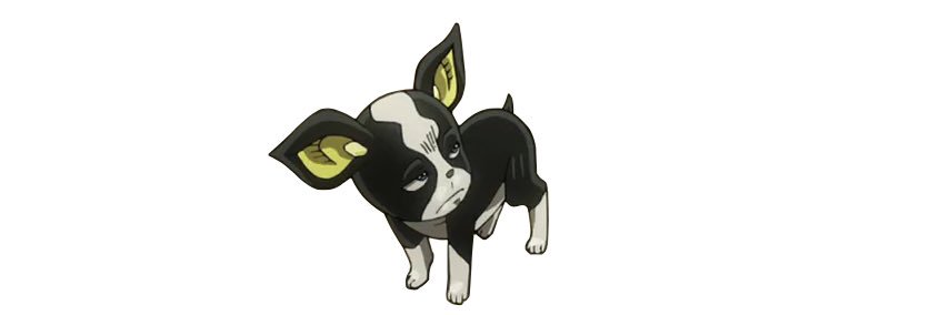 田中みか's banner