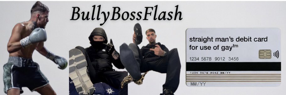 BullyBossFlash's banner