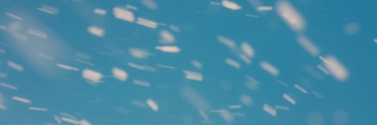 엘라스틴's banner