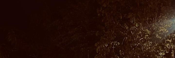 Buterrcream's banner