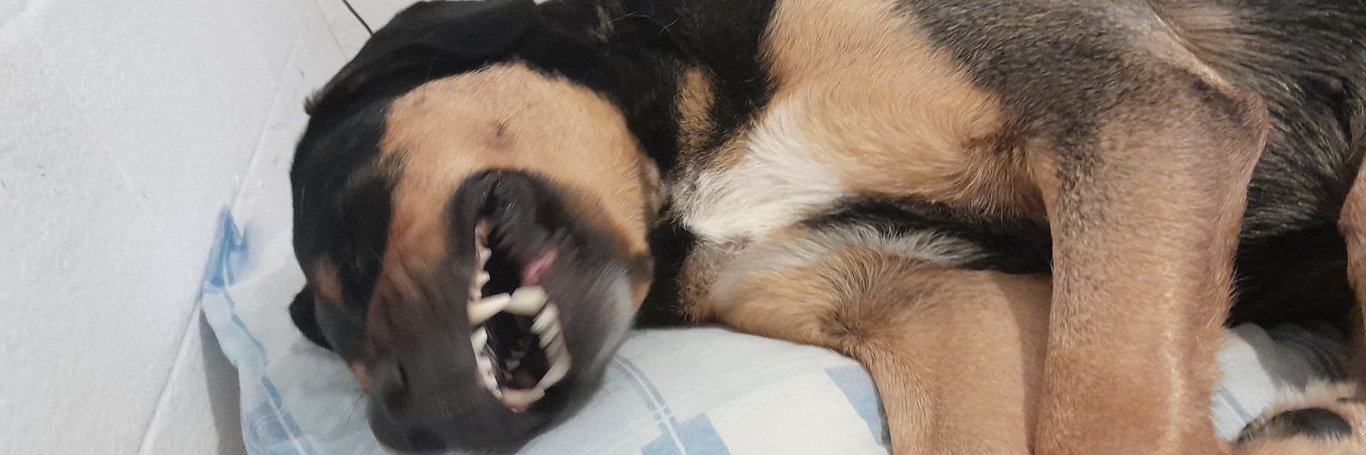CHANCHONE's banner
