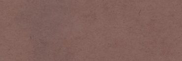 r.'s banner