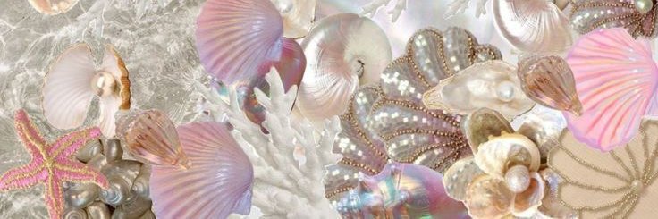 parker/pep🐚 || SALE 5/5's banner