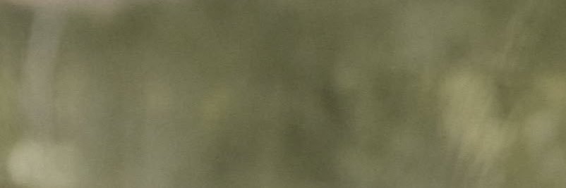 Cynthia Thinker! ꕤ's banner