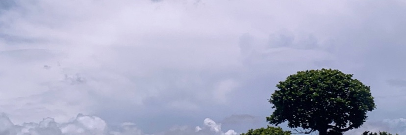 JarvisYe's banner