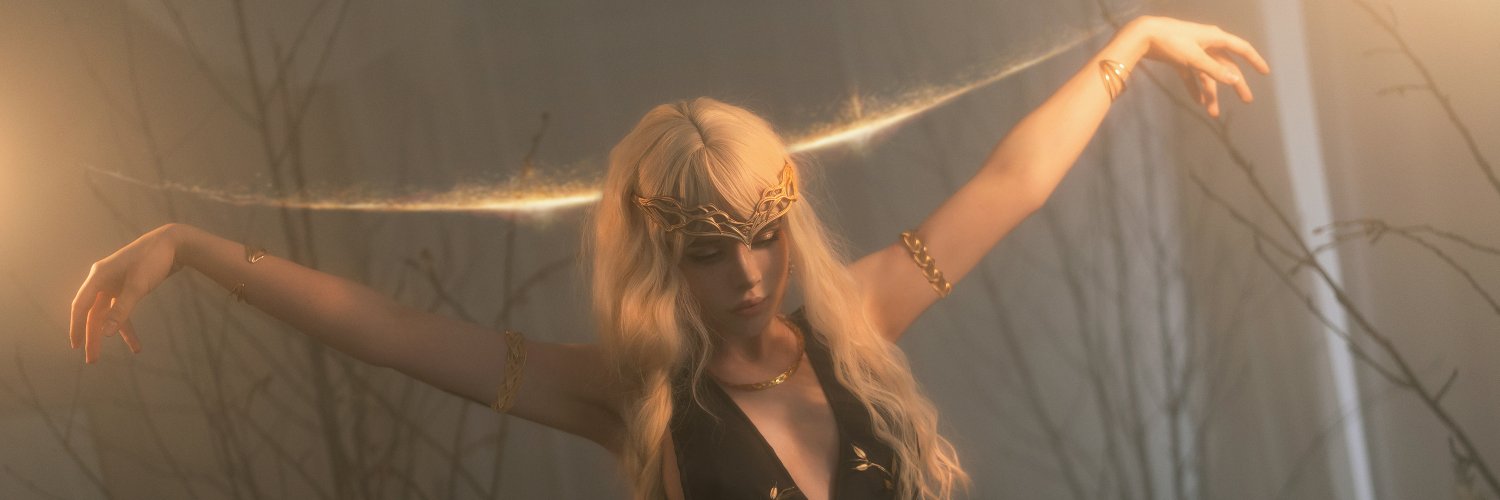 Lesya's banner