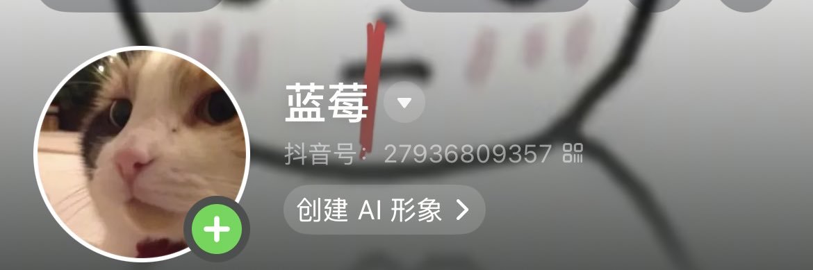 玺玺shee's banner