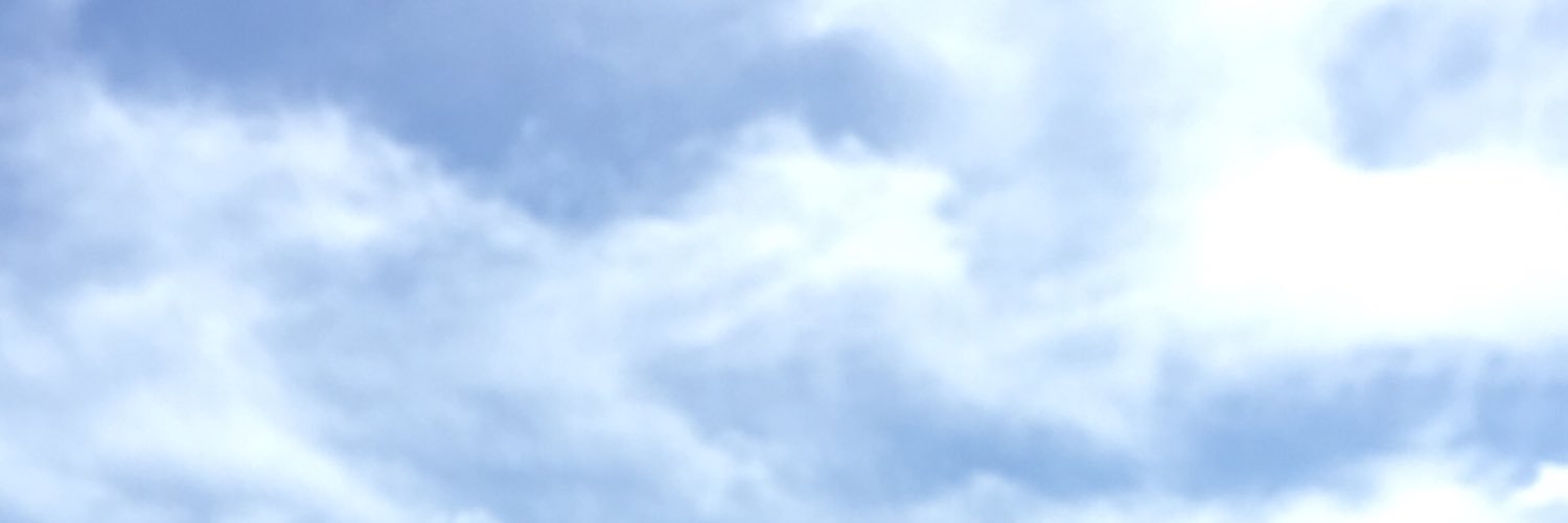 Domenico Marocchi's banner