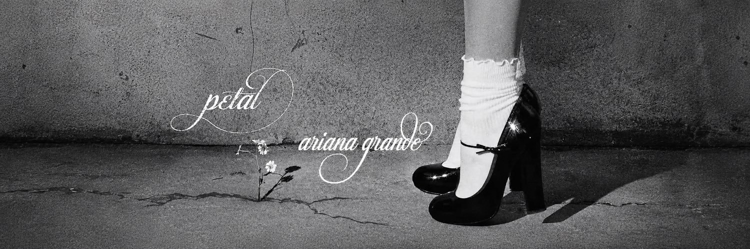 𝑣𝑖𝑐𝑘𝑦 ⋆˙⟡ ໒꒱ 𝑖𝑠 𝑠𝑒𝑒𝑖𝑛𝑔 𝑎𝑟𝑖𝑎𝑛𝑎's banner