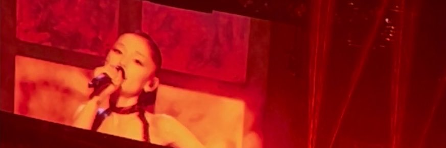 jenna ꕤ SAW ARIANA's banner