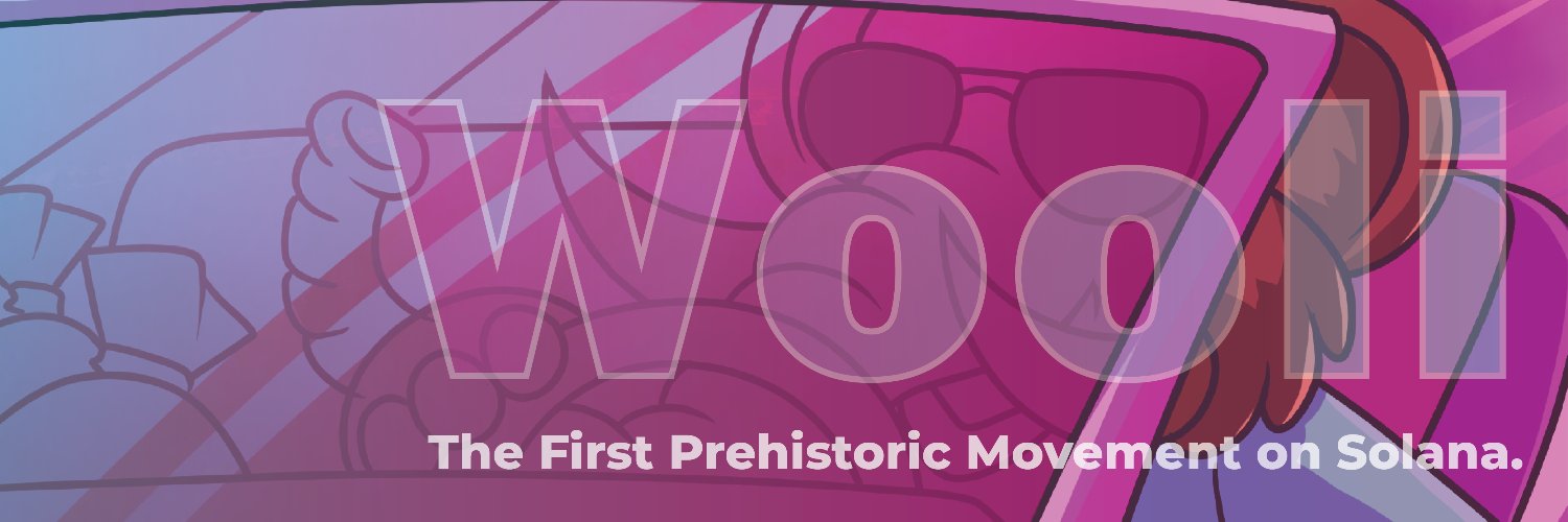 WooliOnSol's banner