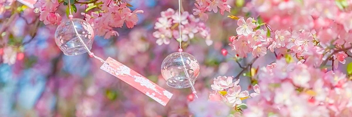 lily ♡₊'s banner