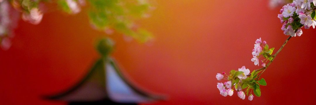 结界兽🇨🇳（fo）'s banner