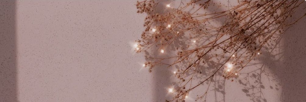 𝒊𝒊𝒊𝒊's banner
