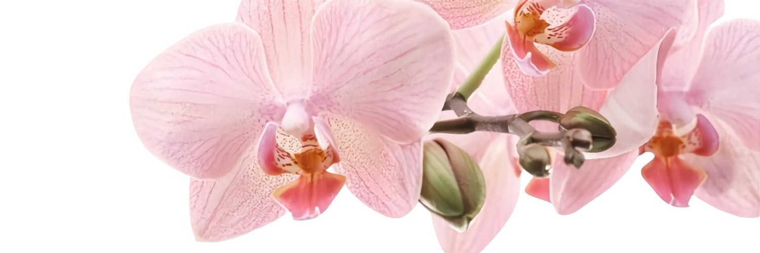 ຸ's banner