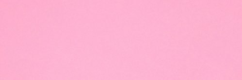 🌷's banner