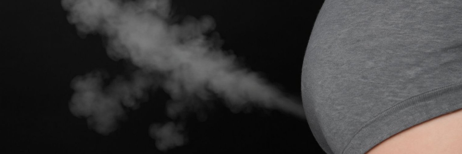 FARTASTIC's banner