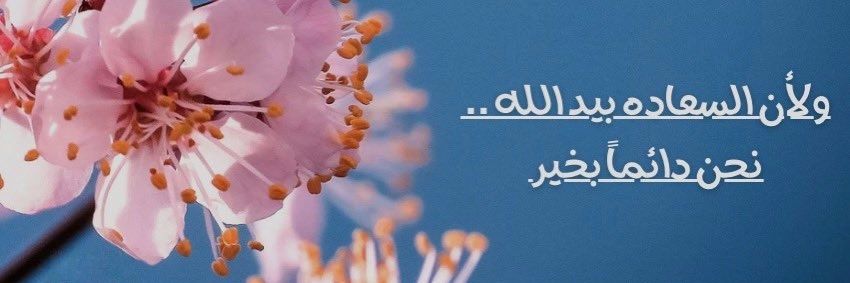 نون 🌸's banner