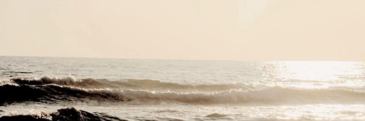 ❀ (ia)'s banner
