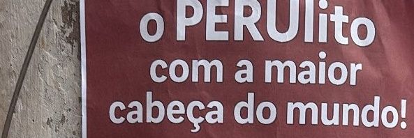 davyn's acervo's banner