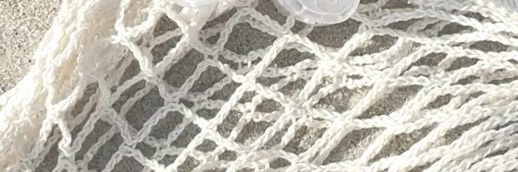 angelina's banner
