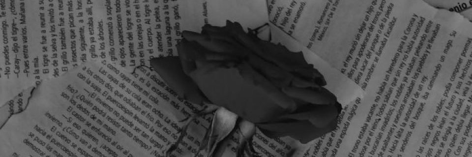 𝑯くん's banner