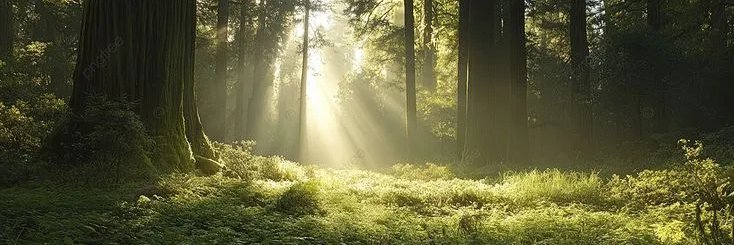 La MILF des Bois 🌿🦋's banner