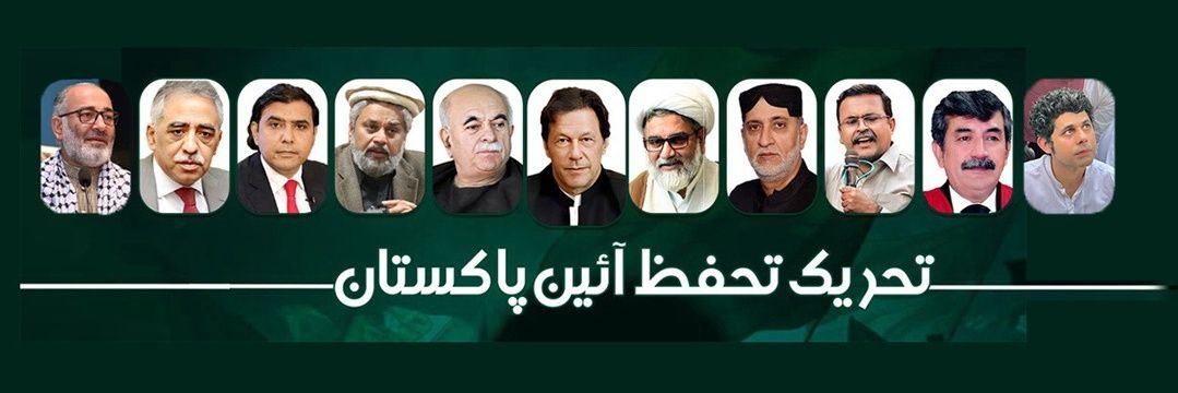Tehreek-e-Tahafuz-e-Ayin-e-Pakistan's banner