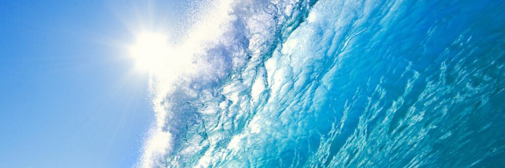 🌊YEMAYA’S GROOVE 🌊's banner
