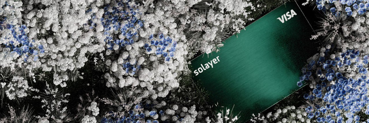Solayer Pay's banner