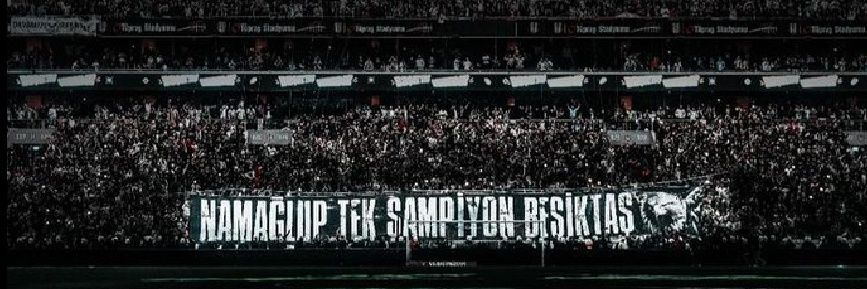 🇫🇷's banner