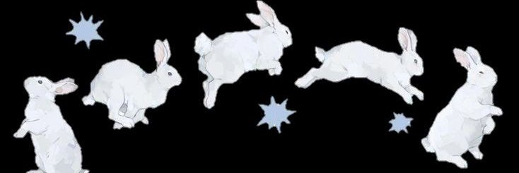 asa ; 🐇's banner