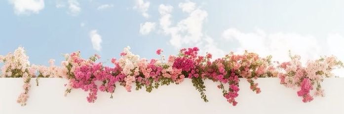 Soft Beautique🎀's banner