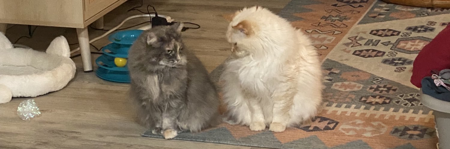 Juju and Cleo's banner