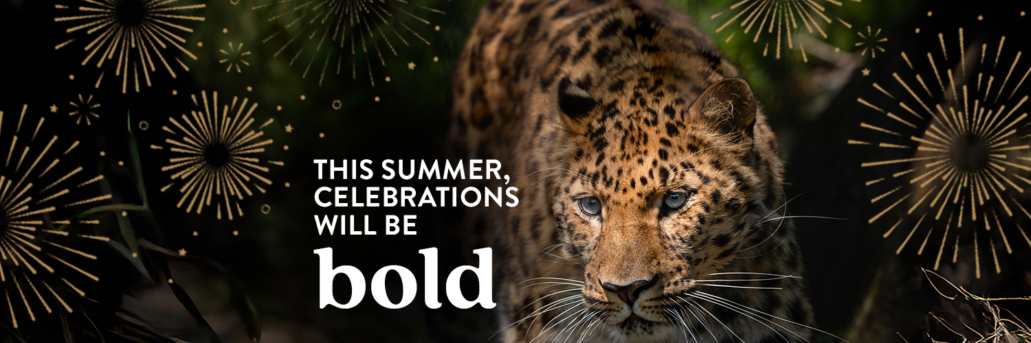 Toledo Zoo's banner